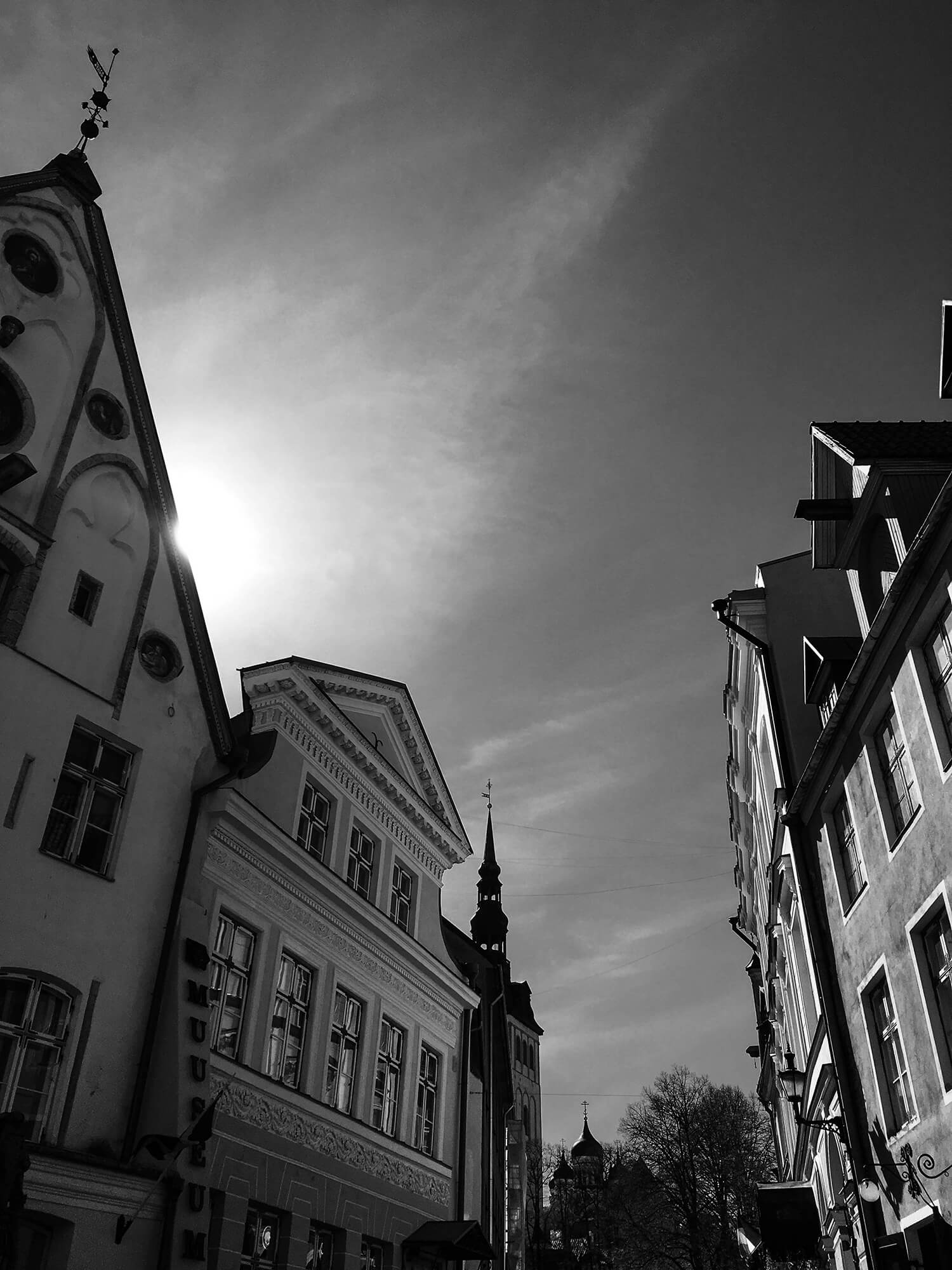 IMG_4101