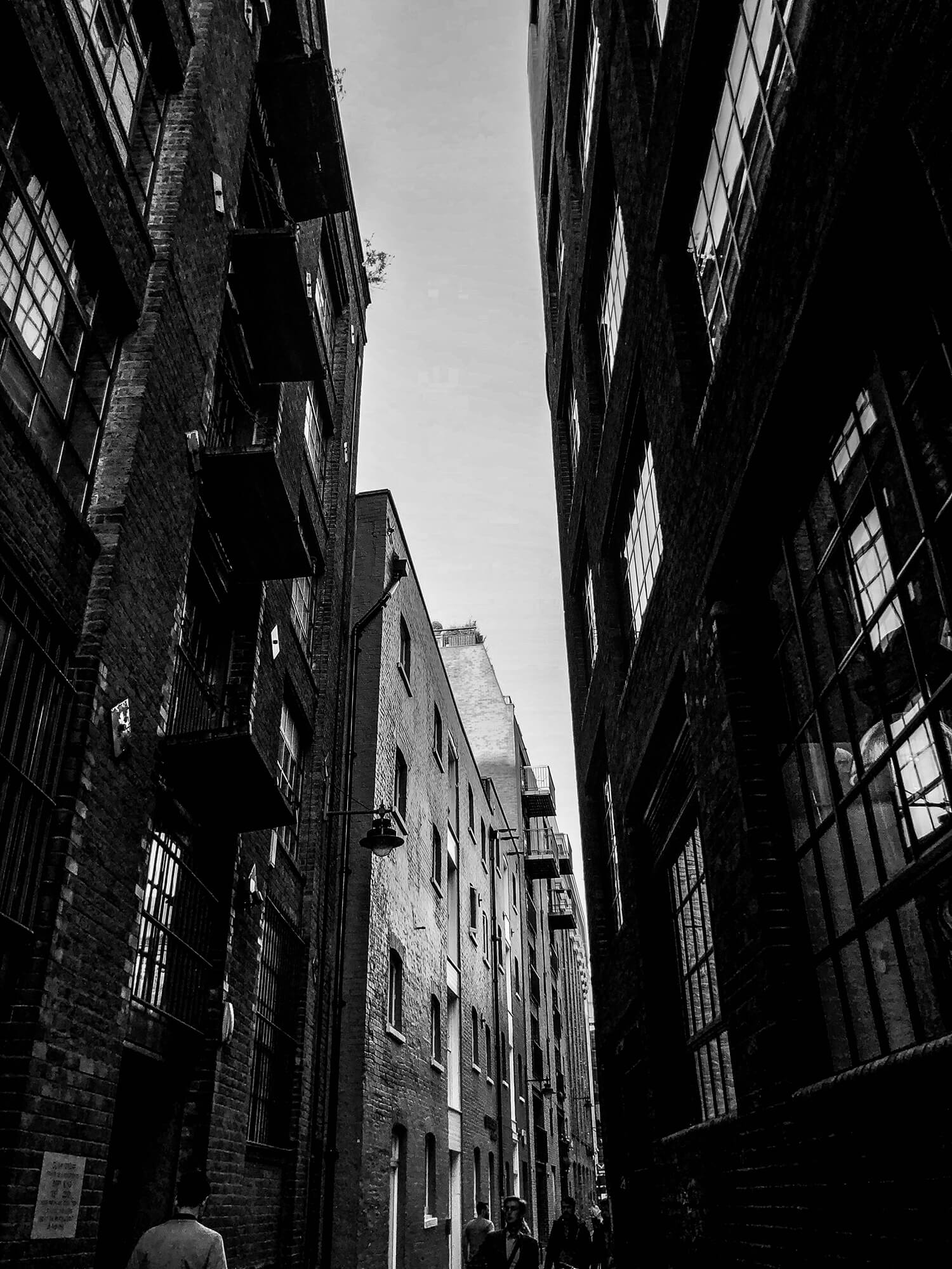 IMG_6804